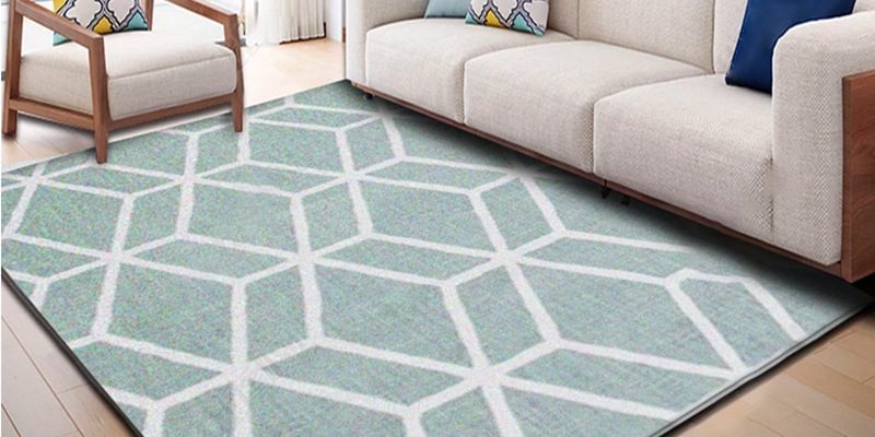 living room mat (3)