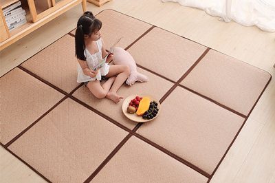 living room mat 400