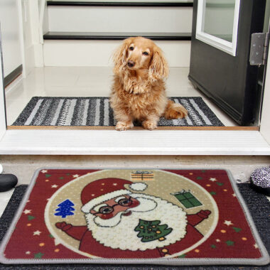 custom logo carpet front entrance doormat